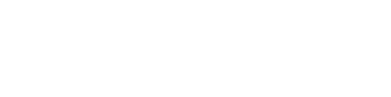 墾田永年資財宝